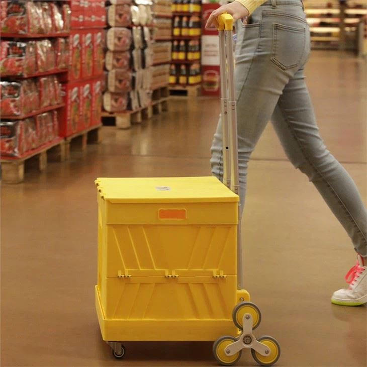 Shopping Cart Trolley